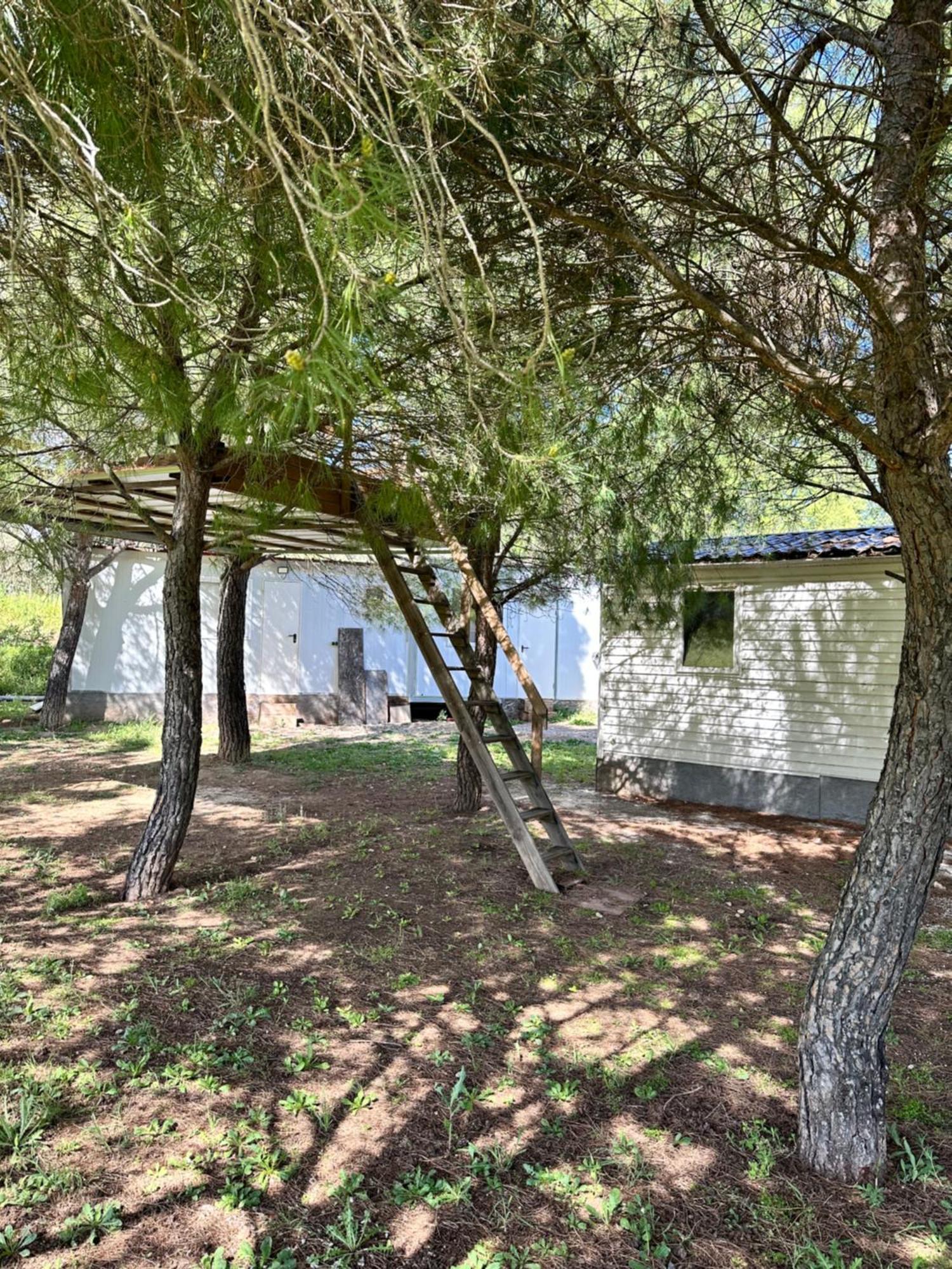 Bungalow Infanta Torrelaguna Esterno foto