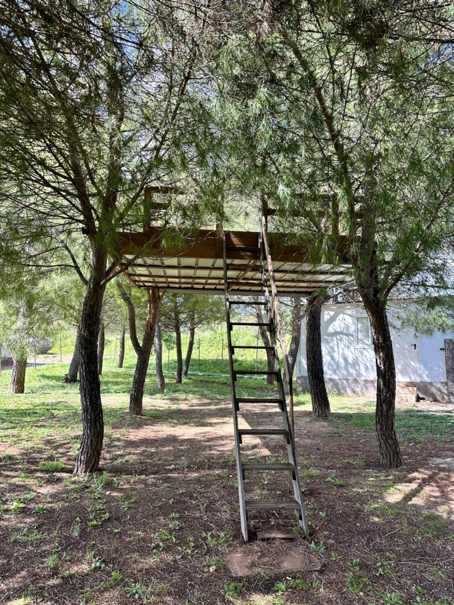 Bungalow Infanta Torrelaguna Esterno foto