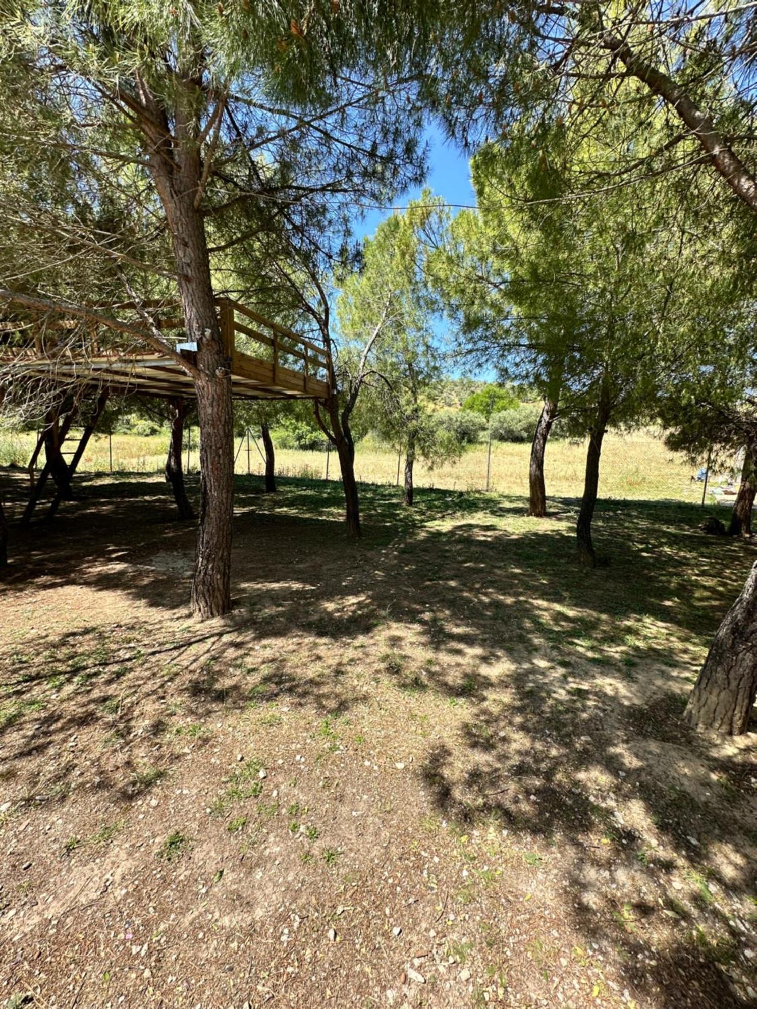 Bungalow Infanta Torrelaguna Esterno foto
