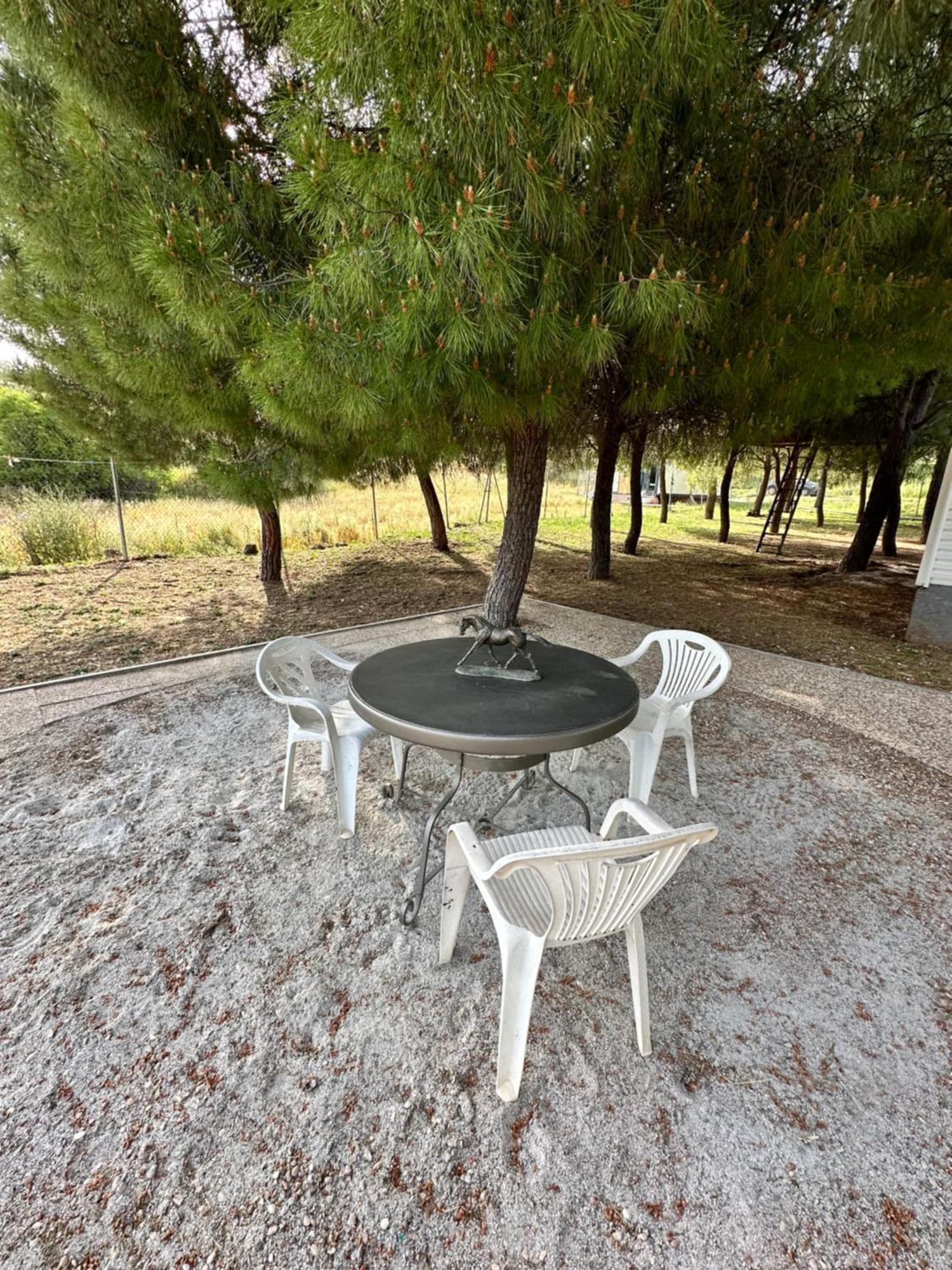 Bungalow Infanta Torrelaguna Esterno foto
